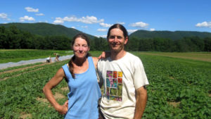 The Small Organic Farm Life