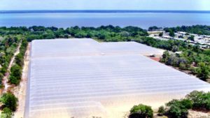 Florida Citrus Growers Going Inside to Think Outside the Box