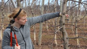 Learning Pruning, by Doing