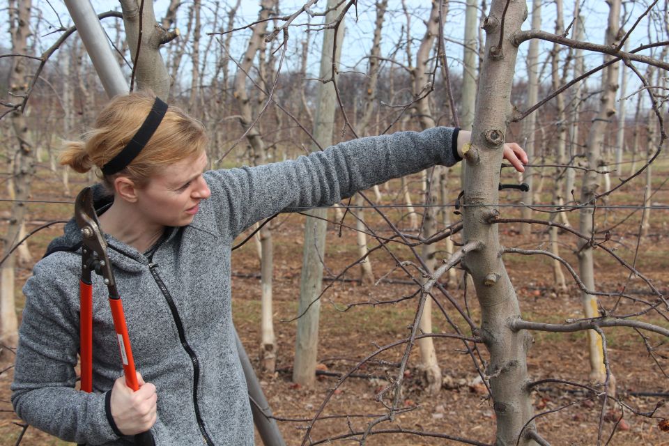 Learning Pruning, by Doing