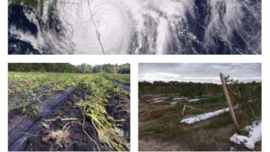 NOAA Betting on Another Busy Atlantic Hurricane Season