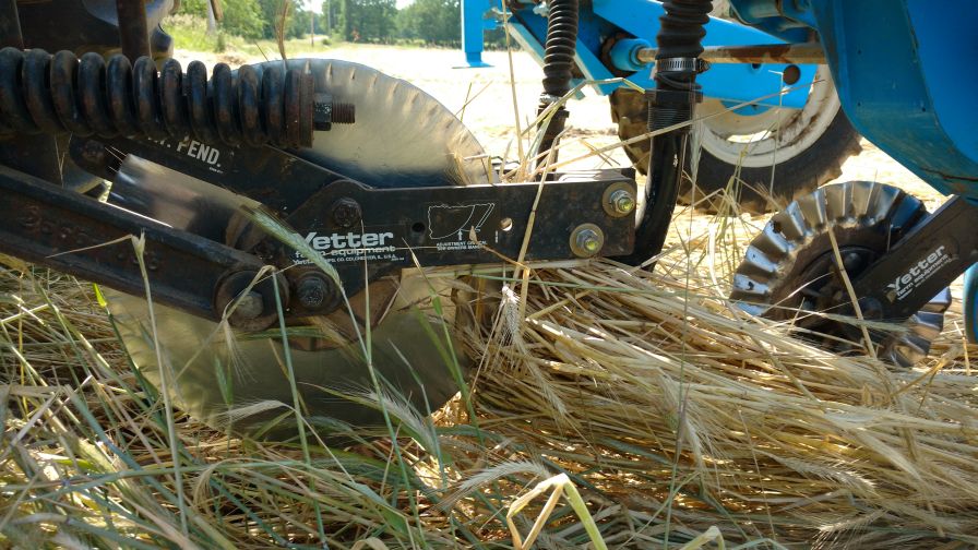 The coulter and fertilizer shank can collect rye.