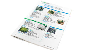 One of your favorite features, Variety Specs, gets a new look with easier-to-read side-by-side comparisons to help you select the right varieties for your operation. We're also adding additional Variety Specs features online each month to bring you a broader choice of crops.