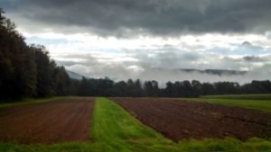 Growing fields are divided into half-acre lots and numbered like tables in a restaurant.
