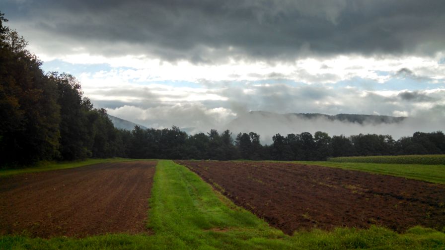 Growing fields are divided into half-acre lots and numbered like tables in a restaurant.