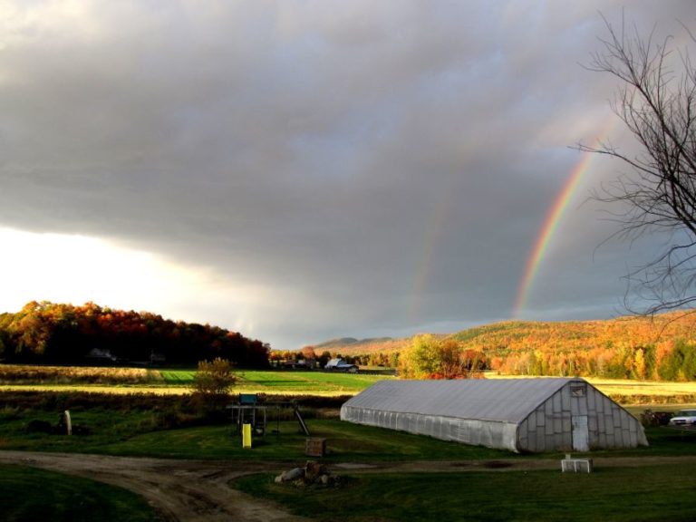 Currently, there are two high tunnels and one greenhouse at Full Moon Farm.