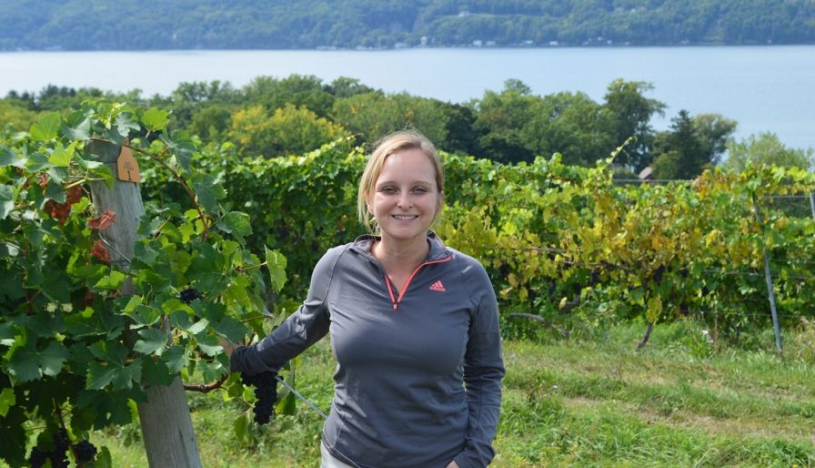 Cornell Graduate Student Earns Grape Disease Research