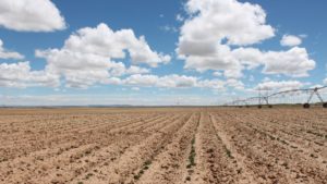 Take a Visual Tour of Navajo Agricultural Products Industry (NAPI)