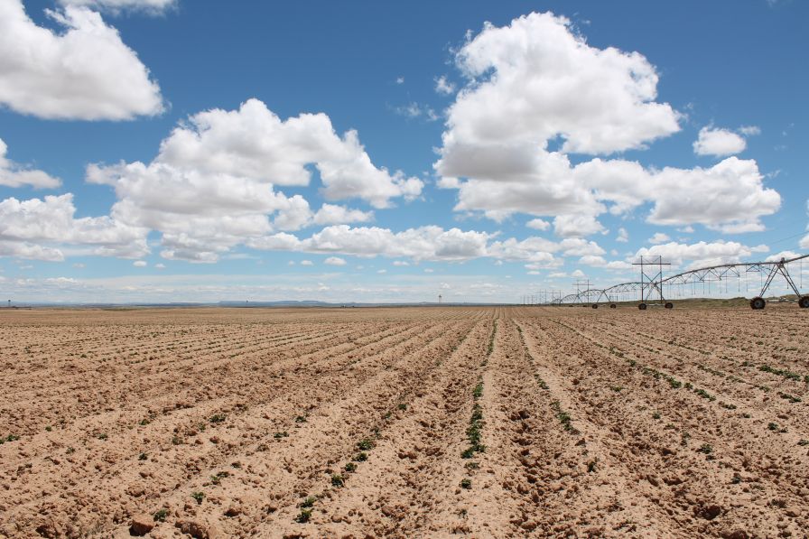 Take a Visual Tour of Navajo Agricultural Products Industry (NAPI)