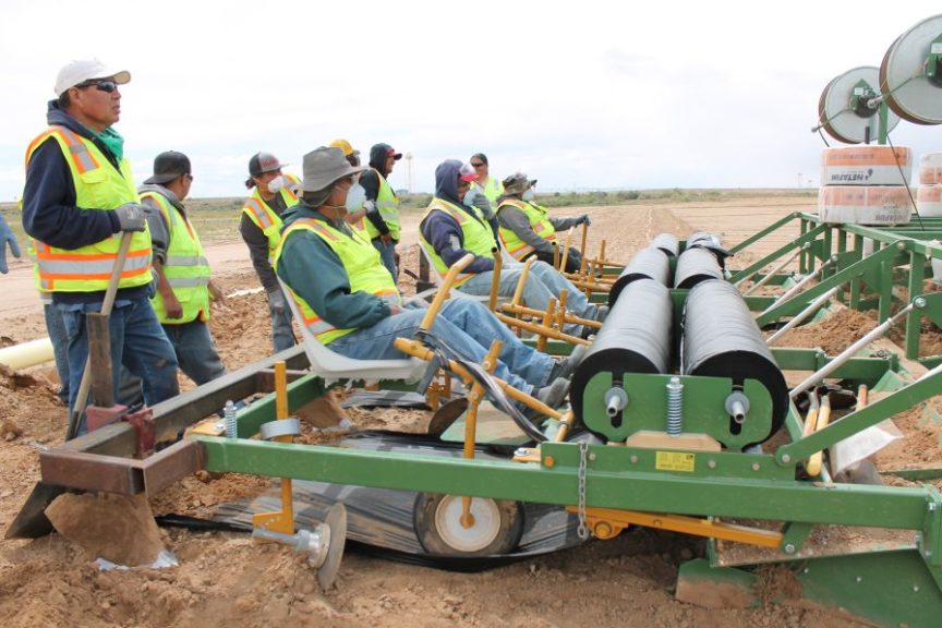 The labor and equipment required for trialing are significant, demonstrating NAPI's commitment to innovation.