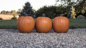 Variety Specs | Production Tips: Pumpkin ‘Bayhorse Gold’ from Rupp Seeds