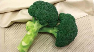 Green Magic