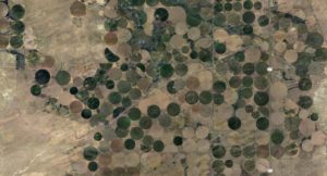 A closer view of one section of NAPI from Google Earth.