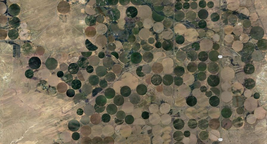 A closer view of one section of NAPI from Google Earth.
