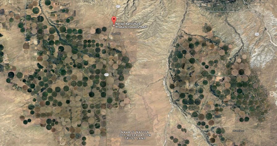 Google Earth reveals the immense size of NAPI. Take note of the red marker: That indicates the entire city of Farmington, NM, which is drawfed by NAPI's huge pivot fields.