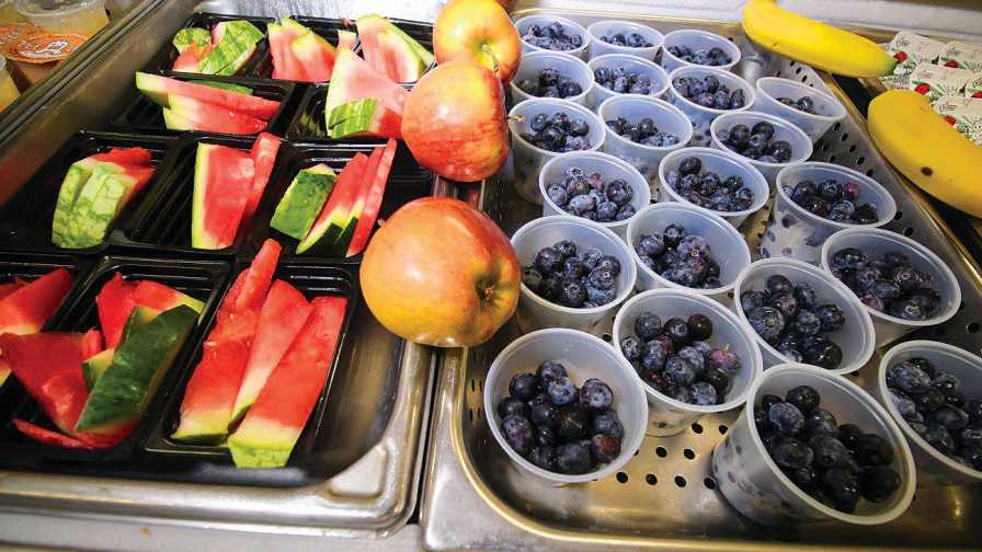 school lunch tray full of Florida-grown blueberries and watermelon