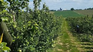 Michigan’s a Hit with Tree Fruit Growers