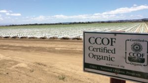 100-Plus California Organic Producers Call for Support in Farm Bill