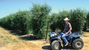 New Orchard Systems Advisor Returns Home