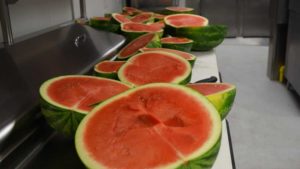 Scientists Keying in on Sweeter and Stronger Watermelon Varieties