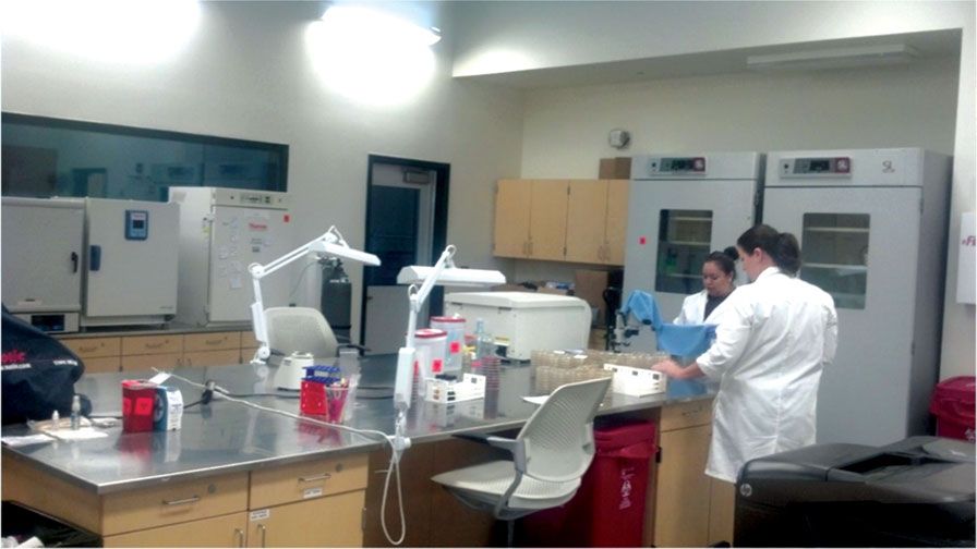 Lab Opens to Test for Pistachio Problem