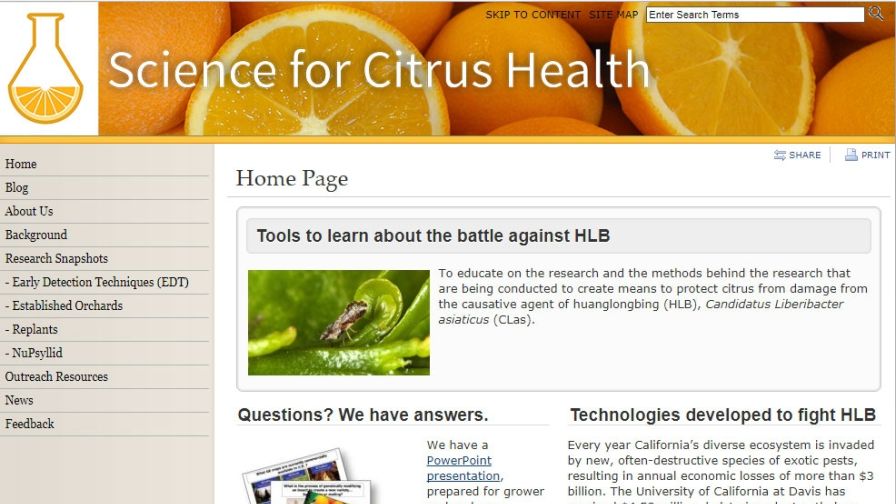 University of California Launches Website to Update Growers on Citrus Research