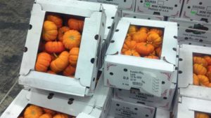 T3 Produce Scan and T3 Smart Records