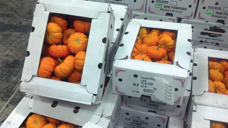 T3 Produce Scan and T3 Smart Records