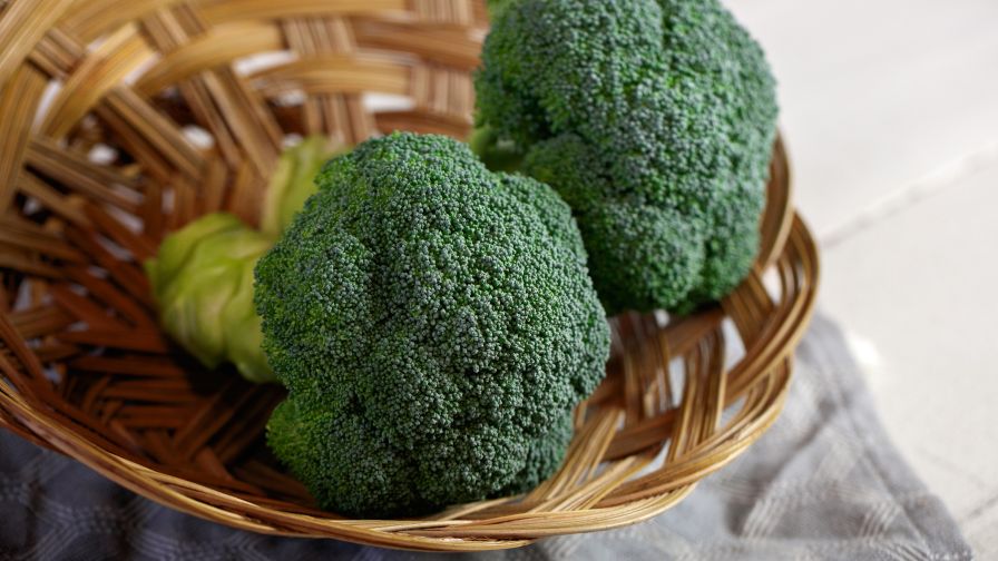 Variety Specs | Production Tips: Broccoli ‘Eastern Crown’ from Sakata