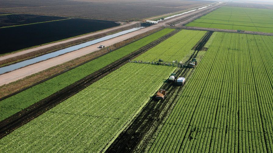 What Produce Growers Can Expect in 2021