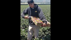 Food Origins