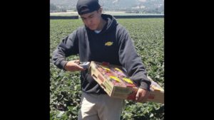 Traceability Products to Help You Track Produce