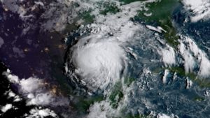 How Harvey May Impact Specialty Crop Growers