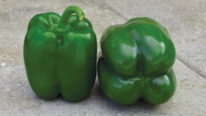Sakata Picks Up Danziger Bell Pepper Line