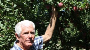 Winning at Farmers’ Markets – Secrets of Success