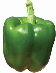 Playmaker