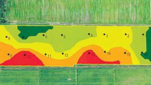 Ways Florida Growers Are Mapping out Solutions With Technology