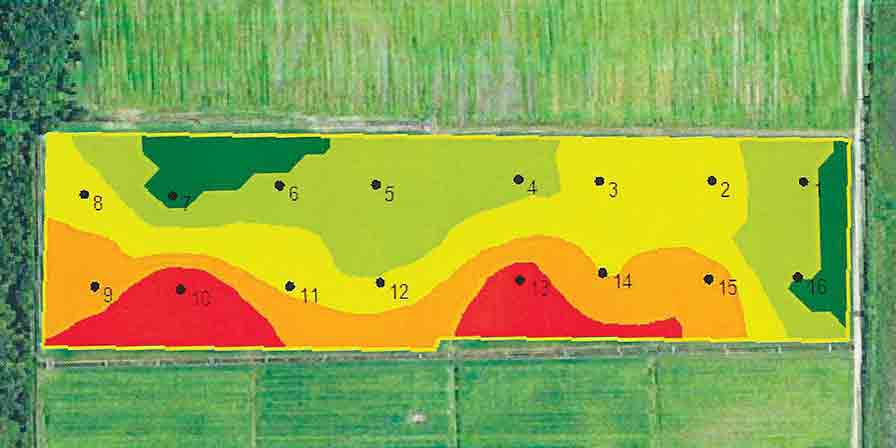 Ways Florida Growers Are Mapping out Solutions With Technology