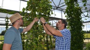 USDA Seeks Applications for Next Round of Specialty Crop Research Grants