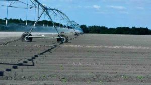 New Technology Clearing a Smart Path to Farm Irrigation