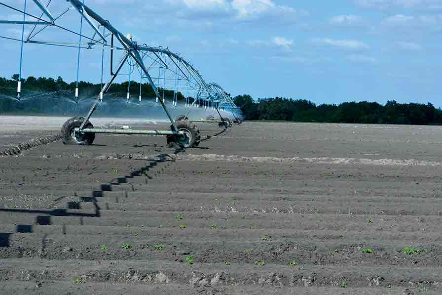 Money Flow on Tap for Water-Conscious Florida Farmers
