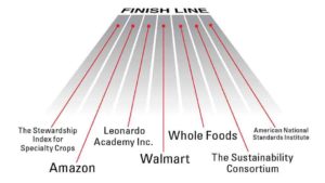 Whose Sustainable Standard Wins?