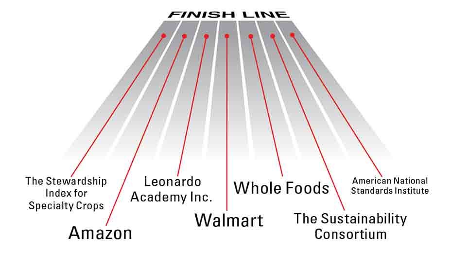 Whose Sustainable Standard Wins?