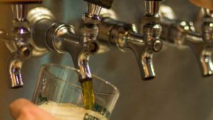Interest Continues to Brew for Hops Grown Fresh From Florida