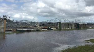 Irma's Aftermath