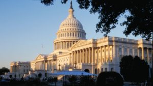Good News from Washington for Growers, Despite Chaotic Political Climate