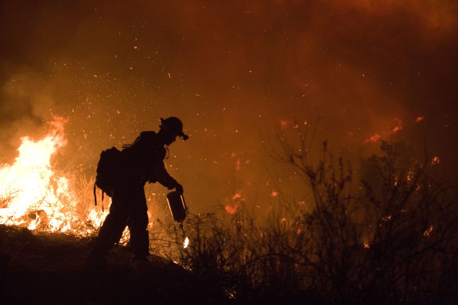California Wine Industry Seeks Disaster Assistance from Wildfires