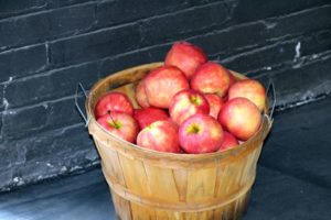 Gunnar-Nyblad-honeycrisp