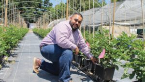Grower Sees Challenges, Opportunities in Booming Organic Berry Market