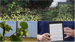 2017 a Standout Year for Florida Agriculture – in More Ways Than One